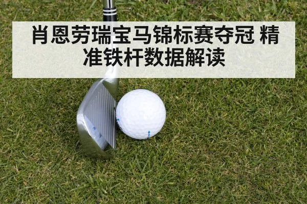 肖恩劳瑞宝马锦标赛夺冠 精准铁杆数据解读
