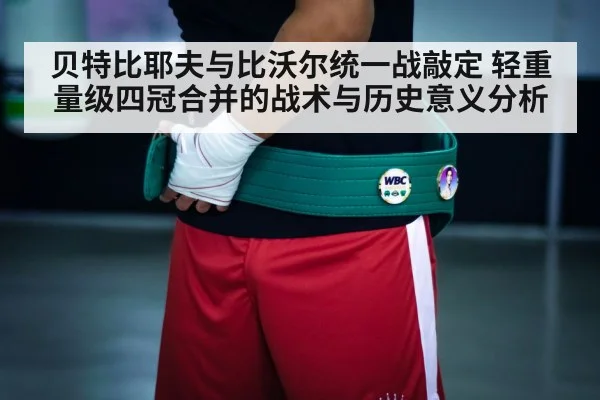 boxing championship belt